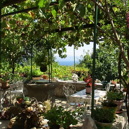 In With Sea View, Terrace, Wi-fi דירה *