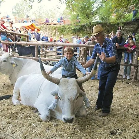 In With Sea View, Terrace, Wi-fi *