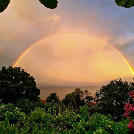 Appartement In With Sea View, Terrace, Wi-fi Ičići