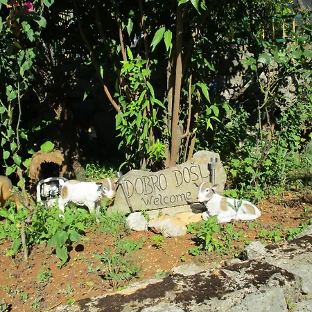 In With Sea View, Terrace, Wi-fi *