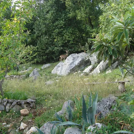 In With Sea View, Terrace, Wi-fi * Ičići