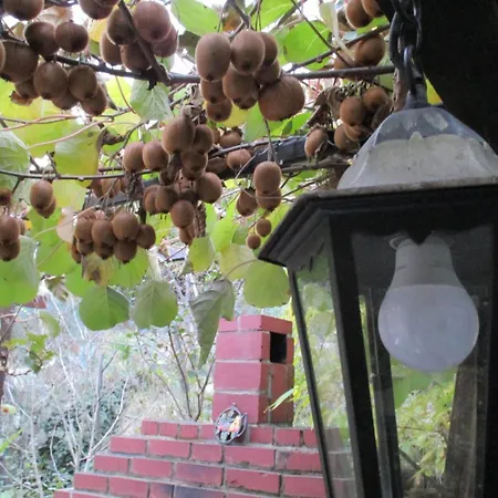In With Sea View, Terrace, Wi-fi Appartement Ičići